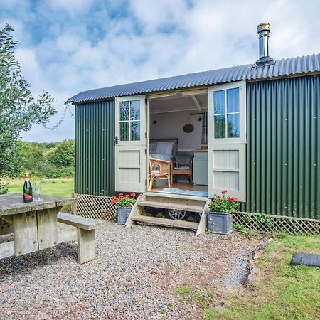 Haven View - 1 Bedroom Shepherds Hut - St Ishmaels Saint Ishmaels  Kültér fotó